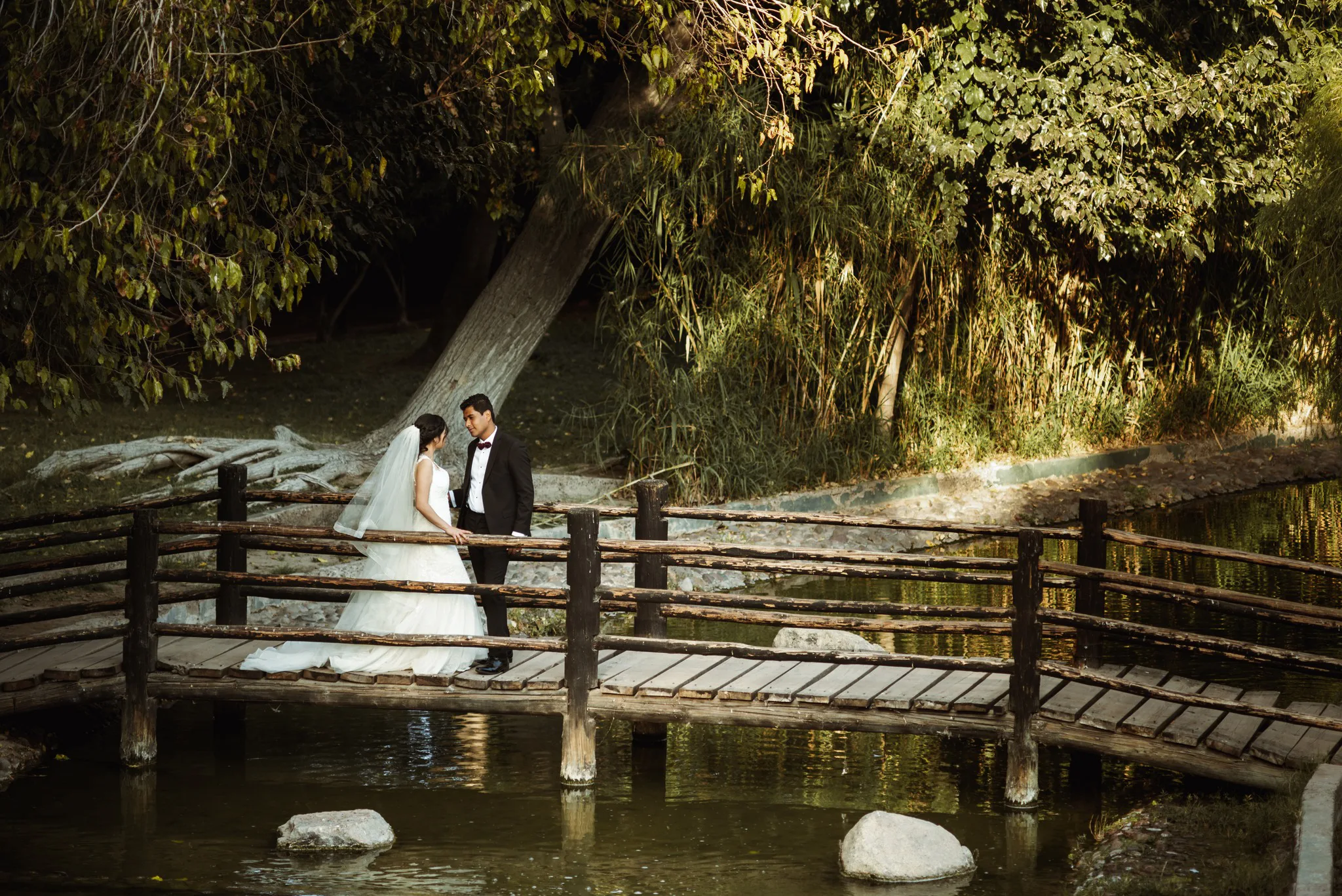 Imagen de Naima & Julio